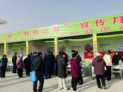 聚焦杨凌“双交会” | “科技之春” 农味足 专家坐“诊”开“方”忙